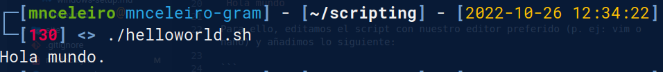 Script hola mundo